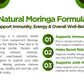 ImoBack – Premium Moringa for Daily Health & Vitality Herbymed