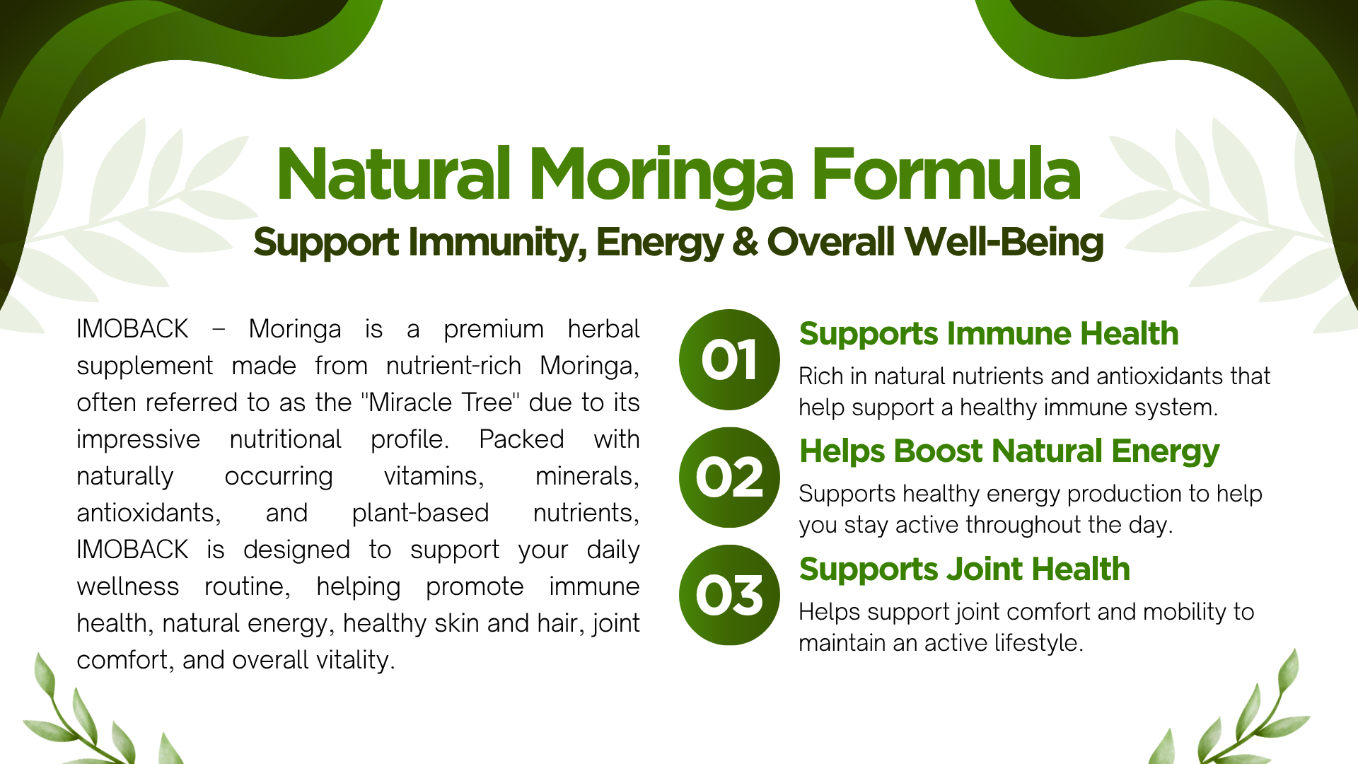 ImoBack – Premium Moringa for Daily Health & Vitality Herbymed